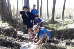 20210730 Omakere School help plant beneath Kahikatea on Amblethorn