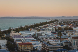 Napier photo resized