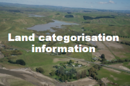 land cat information photo