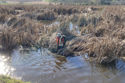wetland monitoring photo resized