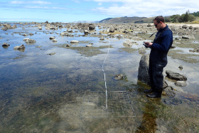Environmental Science Technician