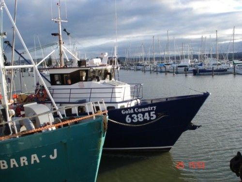 Boats image