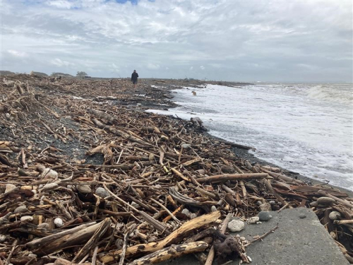 Debris at Haumoana beach
