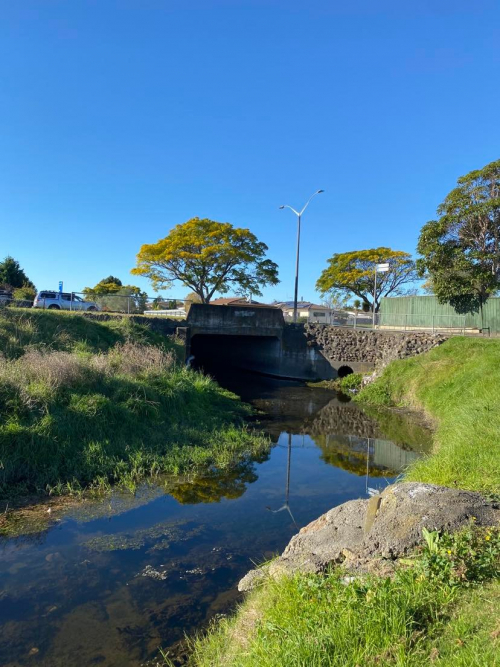 Napier waterways without Mainfreight