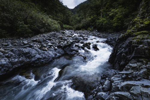 brena smith waipawa river downstream