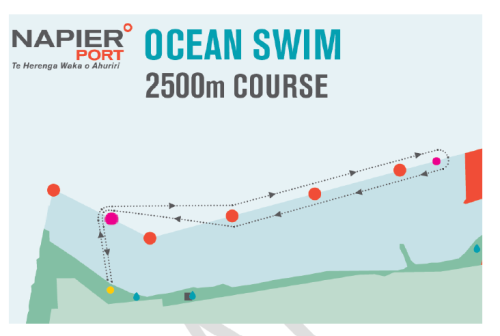 oceanswim
