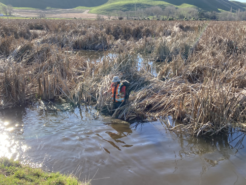 wetland monitoring photo resized