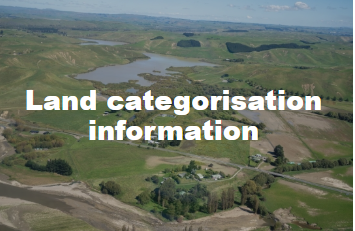 land cat information photo