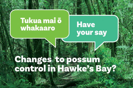 Changing Possum Control in Hawke's Bay