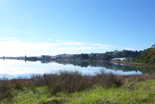 3. Water in our environment