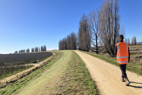 Brookfields Lower stopbank upgrade