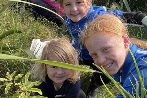 2. Biodiversity in our school
