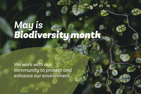 Biodiversity month