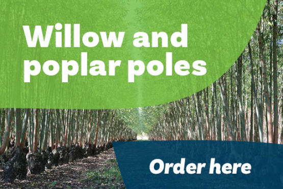 Poles online order