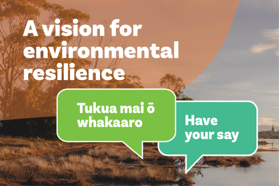 Have your say - Environment resilience