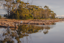 Ahuriri Estuary April 2022
