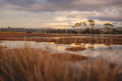 Ahuriri Estuary April 2022