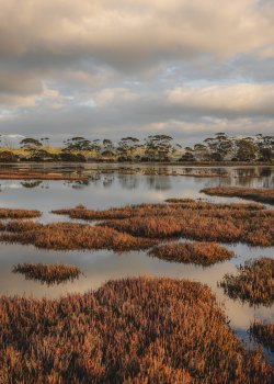 Ahuriri Estuary April 2022
