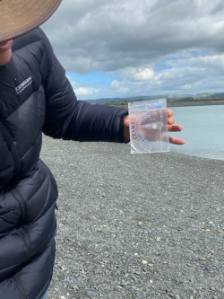 Salinity testing