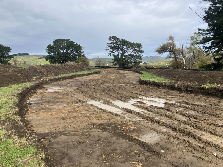Porangahau 4