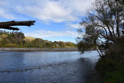 Waipawa river alongside Coronation Park