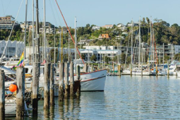Ahuriri harbour moorings