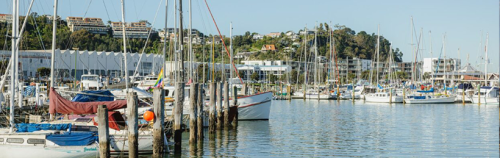 Ahuriri harbour moorings