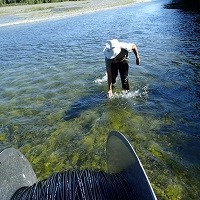 Ngaruroro temp Testing
