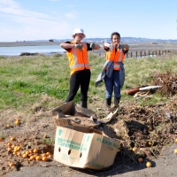 YEC thumbs down to rubbish web