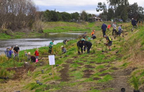 Planting on the Karamu 2016
