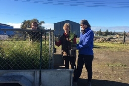 Landowners picking up plants from Waipukurau small