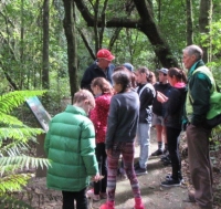 Te Awa school students at White Pine bush web2