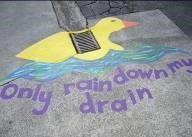 Rain Drain