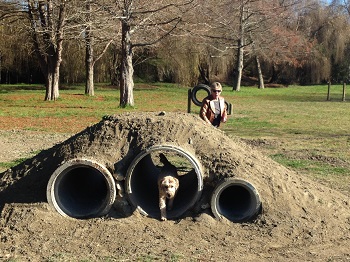 Pakowhai Regional Park the first dog to test the new tunnels 2 Copy