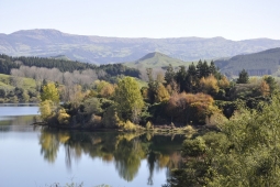 Lake Tutira in autumn