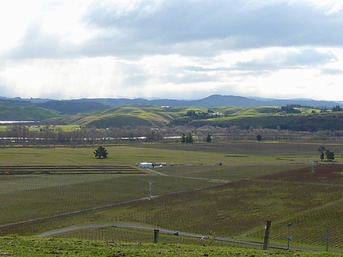 Ngaruroro near SH50 2