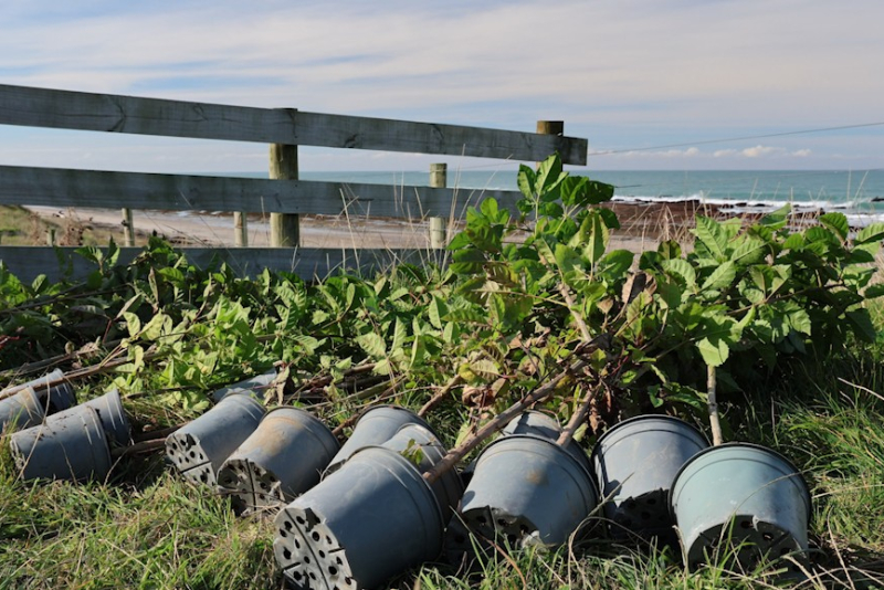 Onenui Station update - round up 2025
